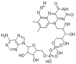 CAS#: 101760-85-4, [5-(6-Aminopurin-9-Yl)-3,4-Dihydroxyoxolan-2-Yl]Methyl [[5-(6-Azido-7,8-Dimethyl-2,4-Dioxobenzo[g]Pteridin-10-Yl)-2,3,4-Trihydroxypentoxy]-Hydroxyphosphoryl] Hydrogen Phosphate