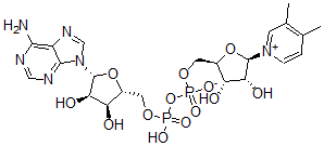 CAS#: 102686-21-5, [[(2R,3S,4R,5R)-5-(6-Aminopurin-9-Yl)-3,4-Dihydroxyoxolan-2-Yl]Methoxy-Hydroxyphosphoryl] [(2R,3S,4R,5R)-5-(3,4-Dimethylpyridin-1-Ium-1-Yl)-3,4-Dihydroxyoxolan-2-Yl]Methyl Phosphate