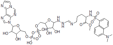 CAS 登录号：104257-22-9， N(alpha)-丹磺酰-N(omega)-1,N(6)-乙烯桥-二磷酸腺苷-核糖基精氨酸甲酯
