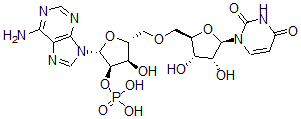 CAS 登录号:10453-52-8, 尿苷酰基-(2'-5')-腺苷