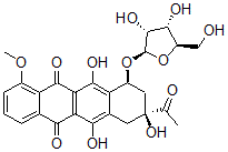 CAS#: 105444-04-0, (7S,9S)-9-Acetyl-7-[(2R,3R,4S,5R)-3,4-Dihydroxy-5-(Hydroxymethyl)Oxolan-2-Yl]Oxy-6,9,11-Trihydroxy-4-Methoxy-8,10-Dihydro-7H-Tetracene-5,12-Dione