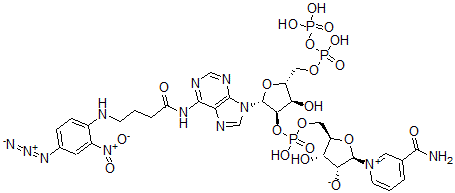 CAS 登录号：105450-72-4， (2R,3R,4S,5R)-5-[[[(2R,3R,4R,5R)-2-[6-[4-[(4-叠氮基-2-硝基苯基)氨基]丁酰基氨基]嘌呤-9-基]-4-羟基-5-[(羟基-膦酰氧基磷酰)氧基甲基]四氢呋喃-3-基]氧基-羟基磷酰]氧基甲基]-2-(3-氨基甲酰吡啶-1-鎓-1-基)-4-羟基四氢呋喃-3-醇