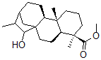 CAS#: 106818-49-9, 15-Hydroxydihydrokaurenoic acid methyl ester