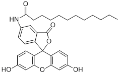 CAS 登录号：107827-77-0， N-(3',6'-二羟基-3-氧代螺[2-苯并呋喃-1,9'-氧杂蒽]-5-基)十二碳酰胺