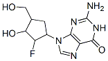 CAS 登录号：110289-24-2， 2-氨基-9-[(2S,3S,4S)-2-氟-3-羟基-4-(羟基甲基)环戊基]-3H-嘌呤-6-酮
