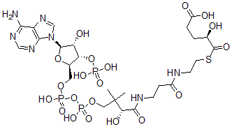 CAS 登录号：111769-66-5， 2-羟基戊二酰-1-辅酶A