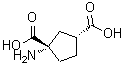 CAS 登录号：111900-31-3， (1S,3R)-1-氨基-1,3-环戊烷二甲酸