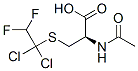 CAS 登录号:112761-86-1, (2R)-2-乙酰氨基-3-(1,1-二氯-2,2-二氟乙基)硫基丙酸