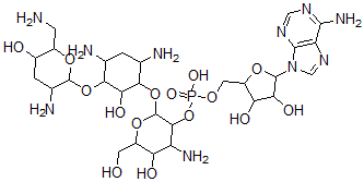 CAS 登录号:114550-26-4, 2''-(腺苷-5'-磷酰)妥布霉素