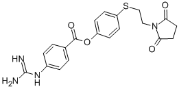 CAS#: 114568-26-2, 4-(2-Succinimidoethylthio)Phenyl 4-Guanidinobenzoate