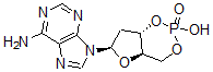 CAS 登录号：1157-33-1， 3',5'-环脱氧腺苷酸
