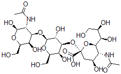 CAS 登录号：117773-04-3， (2S,4S,5R,6R)-5-乙酰氨基-2-[(2R,3R,4S,5S,6R)-2-[(2R,3R,4R,5R,6R)-3-乙酰氨基-2,5-二羟基-6-(羟基甲基)四氢吡喃-4-基]氧基-3,5-二羟基-6-(羟基甲基)四氢吡喃-4-基]氧基-4-羟基-6-[(1R,2R)-1,2,3-三羟基丙基]四氢吡喃-2-羧酸