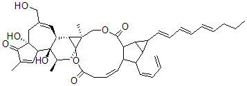 CAS#: 117855-87-5, 12-Deoxy-16-Hydroxyphorbol-4'-(12',14'-Butadienyl)-6'-(16',18',20'-Nonatrienyl)-Bicyclo(3.1.0)Hexane-(13-O)-2'-(Carboxylate)-(16-O)-3'-(8'-Butenoic-10')Ate