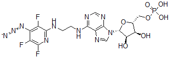 CAS#: 119304-29-9, N(6)-(N((4-Azido-3,5,6-Trifluoro)Pyridin-2-Yl)-2-Aminoethyl)Adenosine 5'-Monophosphate