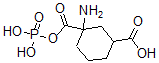 CAS#: 122651-69-8, 3-Amino-3-Phosphonooxycarbonylcyclohexane-1-Carboxylic Acid