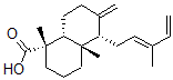 CAS 登录号：1231-35-2， 顺式-璎柏酸