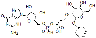 CAS 登录号：125224-13-7， 苯基2-O-(2-膦酰乙基)吡喃半乳糖苷鸟苷-5'-磷酸酯酸酐