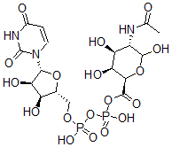 CAS 登录号：125710-37-4， [[[(2R,3S,4R,5R)-5-(2,4-二氧代嘧啶-1-基)-3,4-二羟基四氢呋喃-2-基]甲氧基-羟基磷酰]氧基-羟基磷酰](2R,3S,4S,5S)-5-乙酰氨基-3,4,6-三羟基四氢吡喃-2-羧酸酯