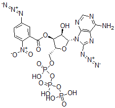 CAS 登录号：129391-97-5， [(2R,3S,4R,5R)-5-(6-氨基-8-叠氮基嘌呤-9-基)-4-羟基-2-[[羟基-(羟基-膦酰氧基磷酰)氧基磷酰]氧基甲基]四氢呋喃-3-基]5-叠氮基-2-硝基苯甲酸酯