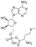 CAS 登录号：13091-93-5， [(2S)-2-氨基-4-甲硫基丁基][(2R,3S,4R,5R)-5-(6-氨基嘌呤-9-基)-3,4-二羟基四氢呋喃-2-基]甲基磷酸氢酯