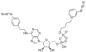 CAS#: 132210-01-6, [[(2R,3S,4R,5R)-5-[6-[2-(4-Azidophenyl)Ethylamino]Purin-9-Yl]-3,4-Dihydroxyoxolan-2-Yl]Methoxy-Hydroxyphosphoryl] 4-(3-Azidopyridin-1-Ium-1-Yl)Butyl Phosphate