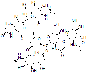 CAS 登录号：13319-33-0， N-乙酰基葡萄糖胺六聚寡糖1-4