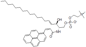 CAS 登录号：133733-42-3， [(E,2S,3R)-3-羟基-2-[[(Z)-3-芘-1-基丙-2-烯酰基]氨基]十八碳-4-烯基]2-三甲基铵乙基磷酸酯盐