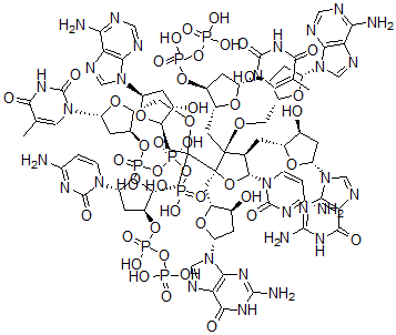 CAS 登录号：133983-37-6， 2'-脱氧胞苷酰-(5'-3')-胸苷酰-(5'-3')-2'-脱氧腺苷酰-(5'-3')-2'-脱氧胞苷酰-(5'-3')-2'-脱氧鸟苷酰-(5'-3')-胸苷酰-(5'-3')-2'-脱氧腺苷酰-(5'-3')-2'-脱氧-鸟苷