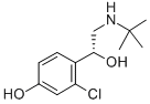 CAS 登录号：134865-33-1， (alphaR)-2-氯-alpha-[[叔丁基氨基]甲基]-4-羟基-苯甲醇