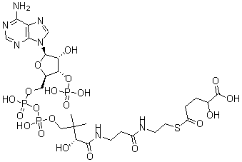 CAS#: 137374-53-9, (R)-Coenzyme A-S-[1-Hydrogen 2-Hydroxypentanedioate]