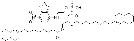 CAS#: 137819-86-4, (2R)-3-[(Hydroxy{2-[(7-Nitro-2,1,3-Benzoxadiazol-4-Yl)Amino]Ethoxy}Phosphoryl)Oxy]-2-[(9E)-9-Octadecenoyloxy]Propyl (9E)-9-Octadecenoate