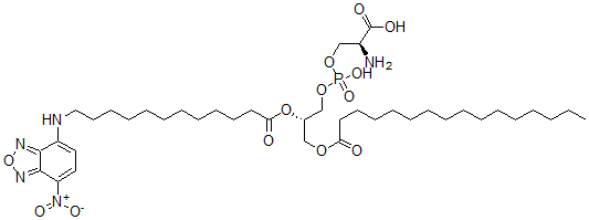 CAS#: 138898-75-6, (2S)-2-Amino-3-[[(2S)-3-Hexadecanoyloxy-2-[12-[(4-Nitro-2,1,3-Benzoxadiazol-7-Yl)Amino]Dodecanoyloxy]Propoxy]-Hydroxyphosphoryl]Oxypropanoic Acid