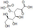 CAS 登录号:143651-48-3, (4R,5S,6R,7R)-5,6,7,8-四羟基-2-氧代-4-膦酰氧基辛酸
