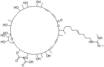 CAS#: 143906-45-0, 3-[[(13E,15Z,21E,23E)-19-[(E)-10-[(N,N'-Dimethylcarbamimidoyl)Amino]Dec-6-En-2-Yl]-1,3,7,9,11,25,27,29,35,36-Decahydroxy-4,8,12,20,24,26-Hexamethyl-17-Oxo-18,37-Dioxabicyclo[31.3.1]Heptatriaconta-13,15,21,23-Tetraen-31-Yl]Oxy]-3-Oxopropanoic Acid