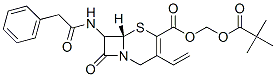 CAS#: 146383-05-3, 2,2-Dimethylpropanoyloxymethyl (6R,7R)-3-Ethenyl-8-Oxo-7-[(2-Phenylacetyl)Amino]-5-Thia-1-Azabicyclo[4.2.0]Oct-2-Ene-2-Carboxylate