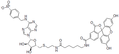 CAS 登录号：147395-08-2， N-[6-[2-[[(2S,3S,4R,5R)-3,4-二羟基-5-[6-[(4-硝基苯基)甲基氨基]嘌呤-9-基]四氢呋喃-2-基]甲硫基]乙基氨基]-6-氧代己基]-3',6'-二羟基-3-氧代螺[2-苯并呋喃-1,9'-氧杂蒽]-5-甲酰胺