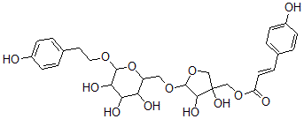 CAS#: 149155-71-5, [3,4-Dihydroxy-5-[[3,4,5-Trihydroxy-6-[2-(4-Hydroxyphenyl)Ethoxy]Oxan-2-Yl]Methoxy]Oxolan-3-Yl]Methyl (E)-3-(4-Hydroxyphenyl)Prop-2-Enoate