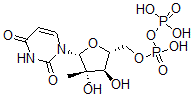 CAS 登录号：150993-73-0， [(2R,3R,4R,5R)-5-(2,4-二氧代嘧啶-1-基)-3,4-二羟基-4-甲基四氢呋喃-2-基]甲基膦酰磷酸氢酯