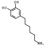 CAS 登录号：154585-07-6， 4-(6-氨基己基)-1,2-苯二酚