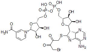CAS#: 154591-46-5, 8-(4-Bromo-2,3-dioxobutylthio)nicotinamide adenine dinucleotide