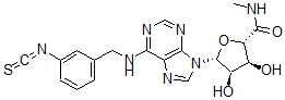 CAS#: 157848-36-7, (2S,3S,4R,5R)-3,4-Dihydroxy-5-[6-[(3-Isothiocyanatophenyl)Methylamino]Purin-9-Yl]-N-Methyloxolane-2-Carboxamide