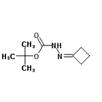 CAS#: 158001-20-8, 2-Methyl-2-Propanyl 2-Cyclobutylidenehydrazinecarboxylate