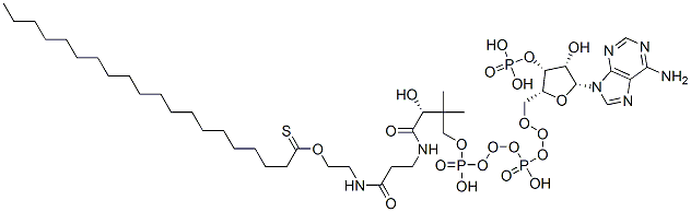 CAS#: 15895-27-9, (C20:0) Coenzyme A