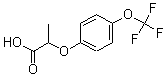 CAS 登录号：175204-35-0， 2-[4-(三氟甲氧基)苯氧基]-丙酸