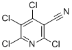 CAS#: 17824-82-7, 2,4,5,6-Tetrachloro-Nicotinonitrile