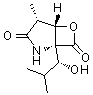 CAS#: 186833-31-8, (1R,4R,5S)-1-[(1R)-1-Hydroxy-2-Methylpropyl]-4-Methyl-6-Oxa-2-Azabicyclo[3.2.0]Heptane-3,7-Dione