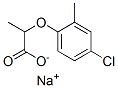 CAS 登录号：19095-88-6， 2-(4-氯-2-甲基苯氧基)丙酸钠