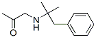 CAS#: 19213-12-8, 1-[(1,1-Dimethyl-2-Phenylethyl)Amino]-2-Propanone
