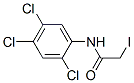 CAS#: 19889-60-2, 2-Iodo-N-(2,4,5-Trichlorophenyl)Acetamide