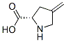 CAS#: 20309-87-9, 4-Methyleneproline